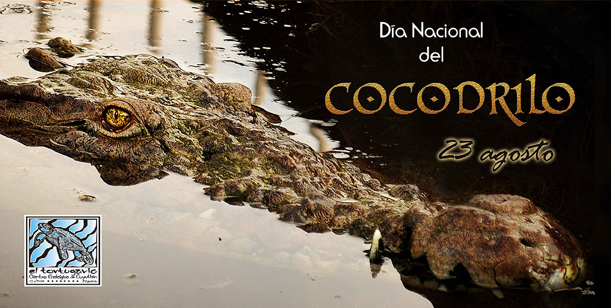 Día Internacional del Cocodrilo - Tortugario de Cuyutlán